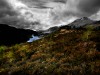 Glen Affric