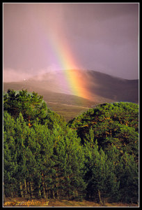 Rainbow over Sutherland